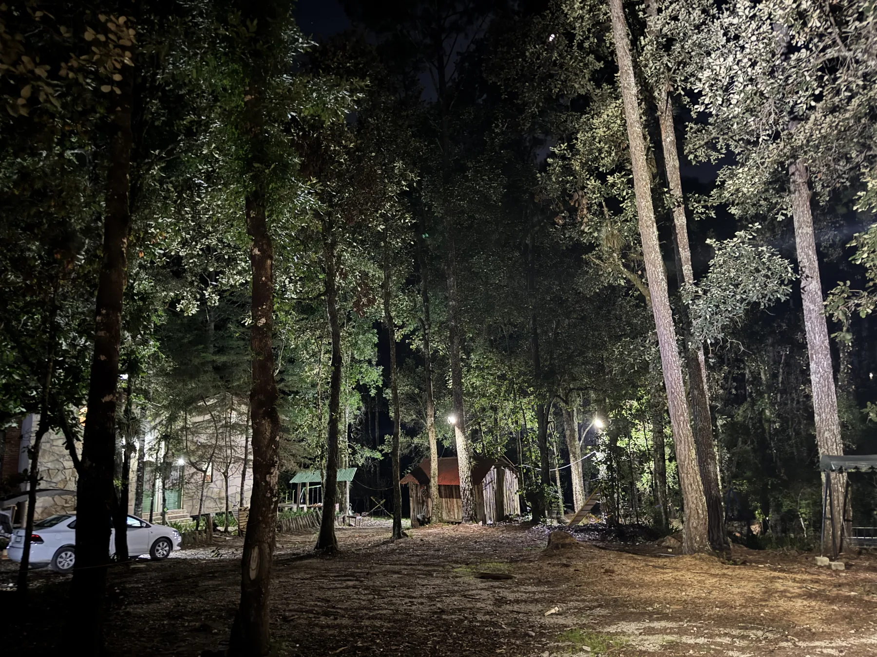 Bosque de pinos y encinos iluminado de noche en Cabañas Alma del Bosque